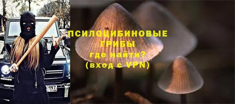 Галлюциногенные грибы Psilocybe  маркетплейс наркотические препараты  Туринск 